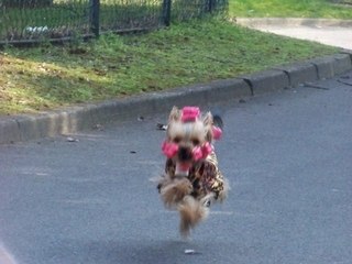 Amour me rejoint 3 (devant les écoles) mardi 17 mars 2009