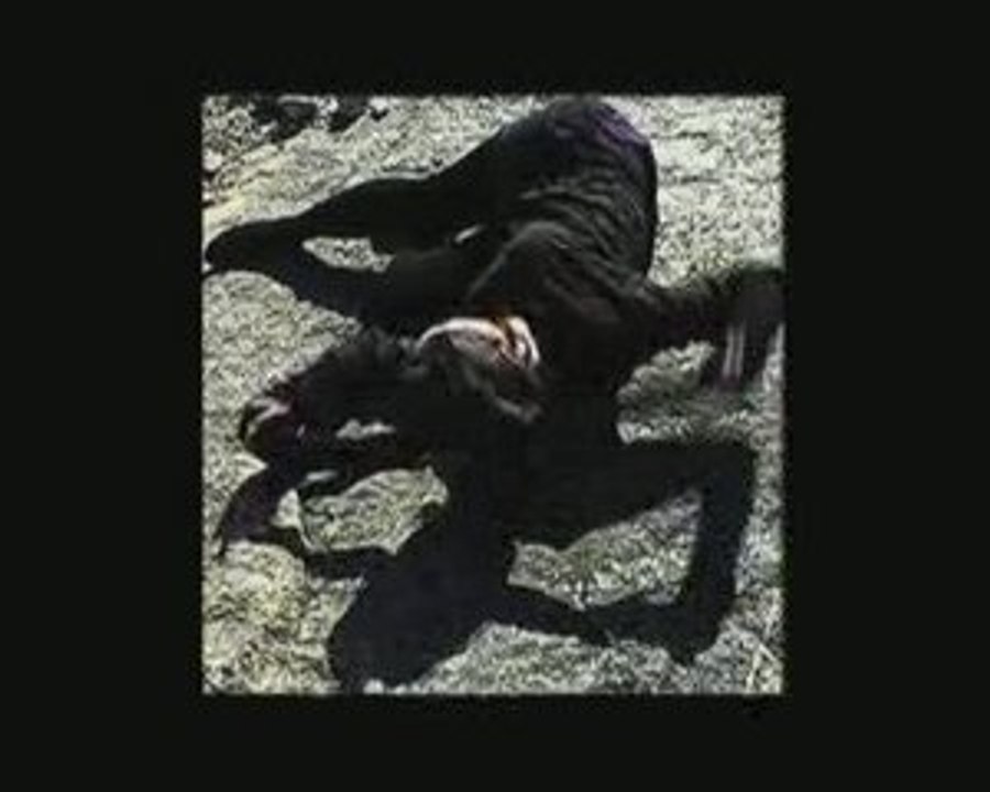 Le Graal pour Cène, Quête n°2