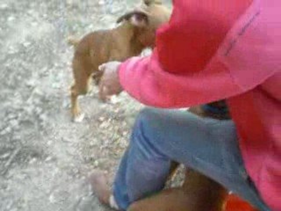 Dj umbé et diamone aprem aux chevaux