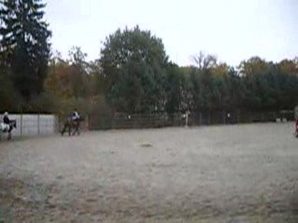 Double dérobade (faut dire c'est pas le meilleur poney...)