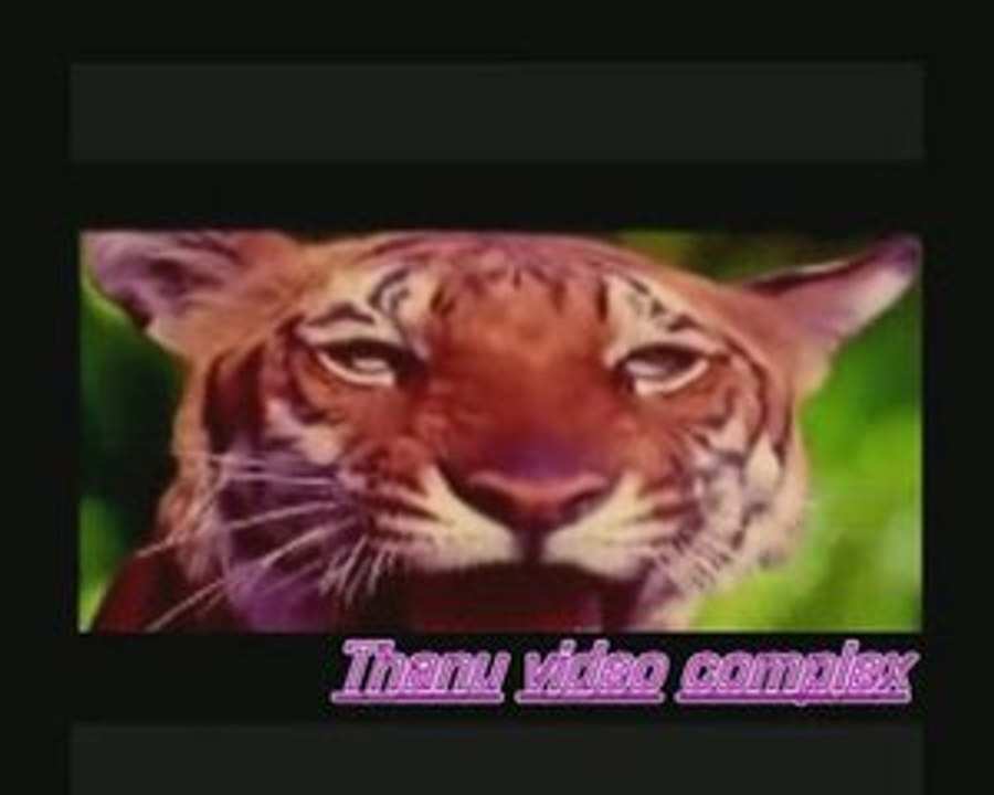 slk-thanu