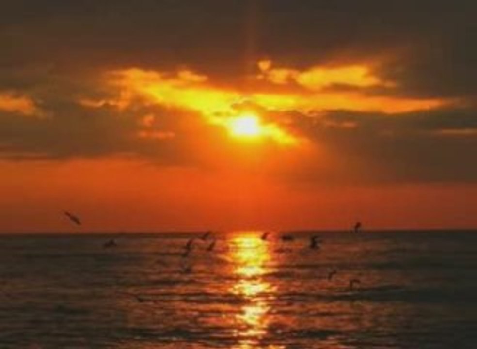 Les plus belle plage du monde