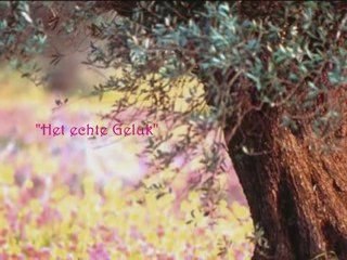 Druppels van Wijsheid ... en Liefde