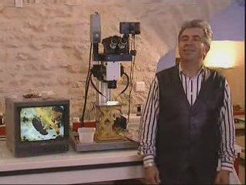 Complexe argilo-humique contre complexe agro-industriel