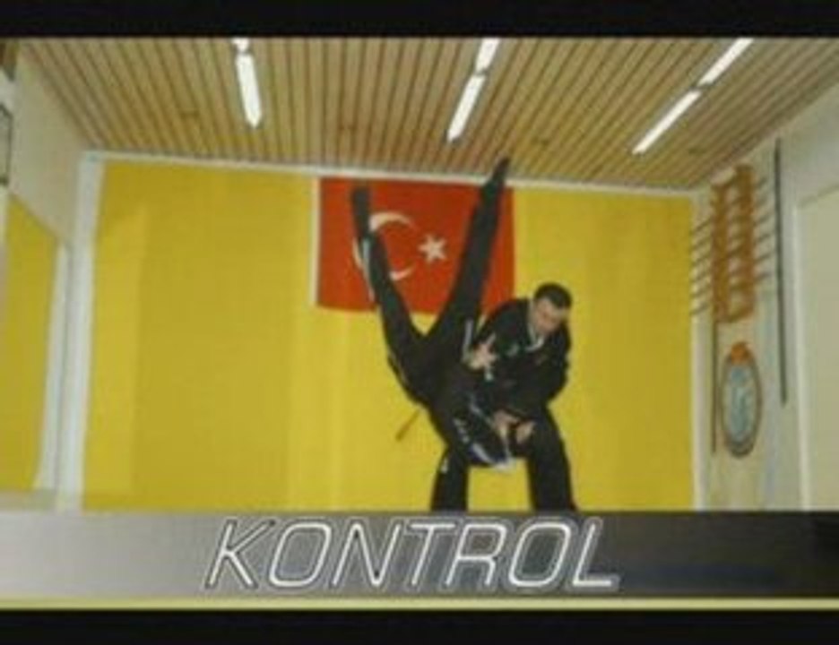 Hapkido Ankara