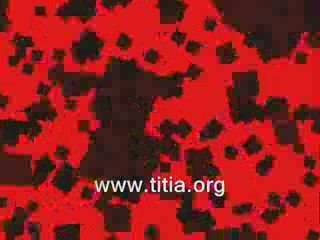 Akıllı İşadamı  ( Komedi - Reklam )