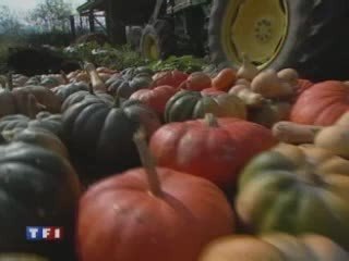 Semences le cas Kokopelli