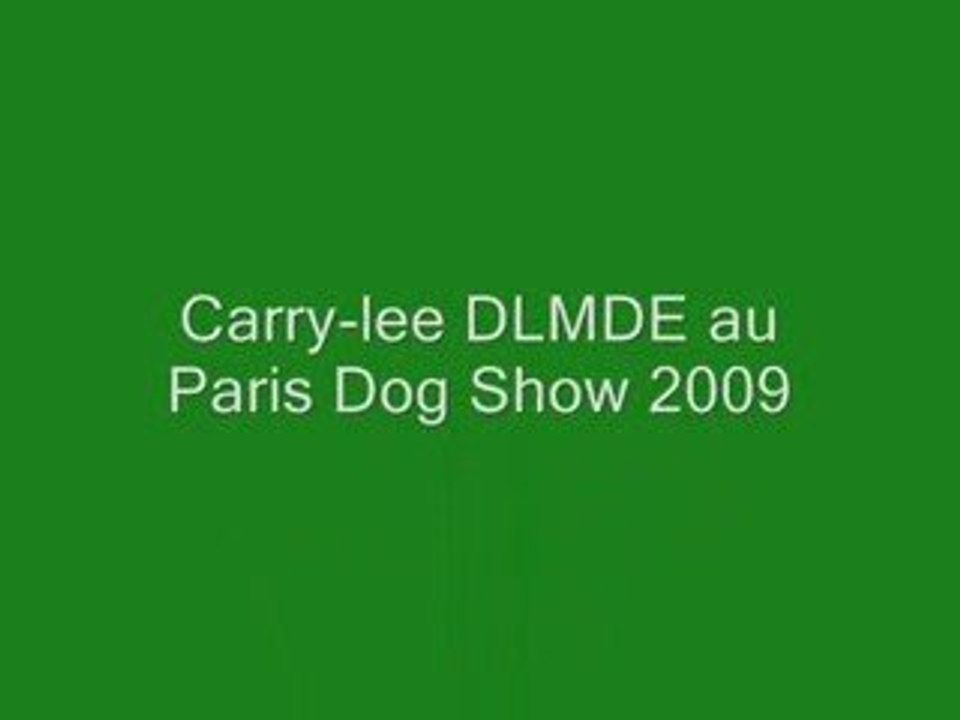 Dog show 2009