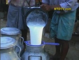 Music Boosts Milk Production