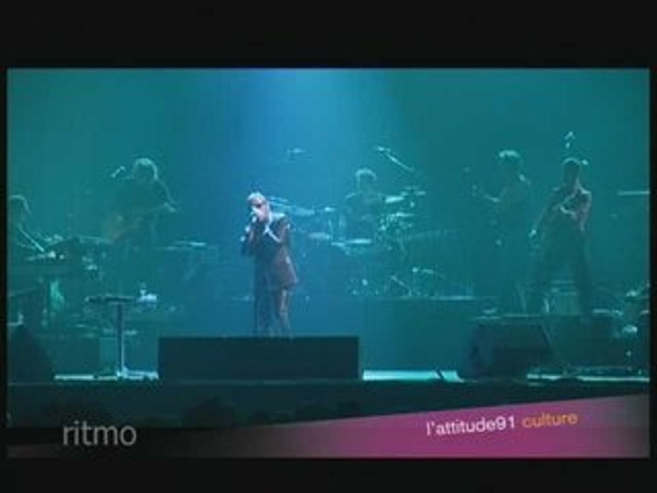 Alain BASHUNG : Efferv'essonnes 2003 (extrait)
