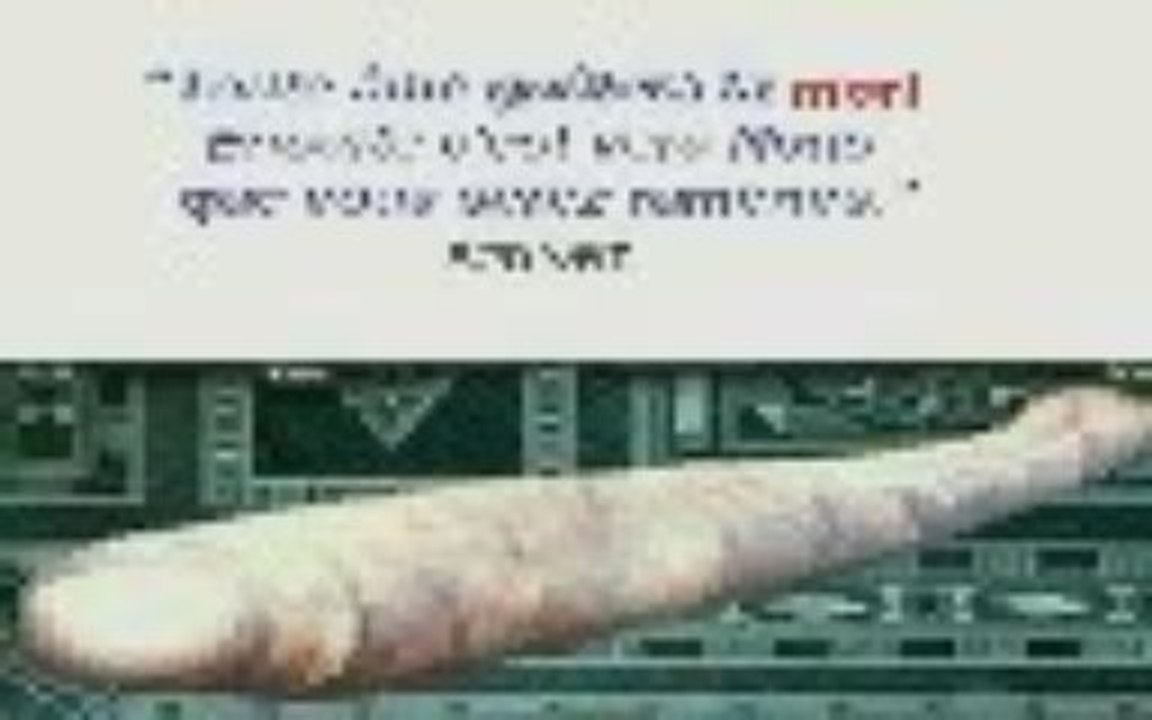 Le rappel de la mort - Daoud Van Beveren (2)