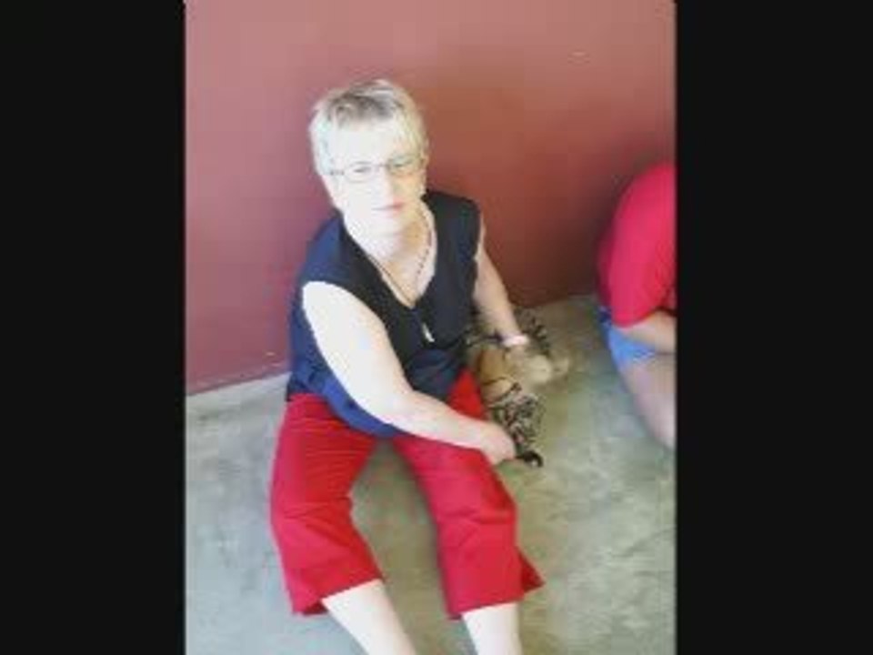 Chiang Mai (Thailande)