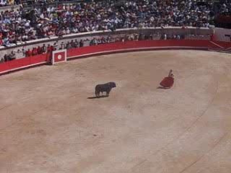 corrida