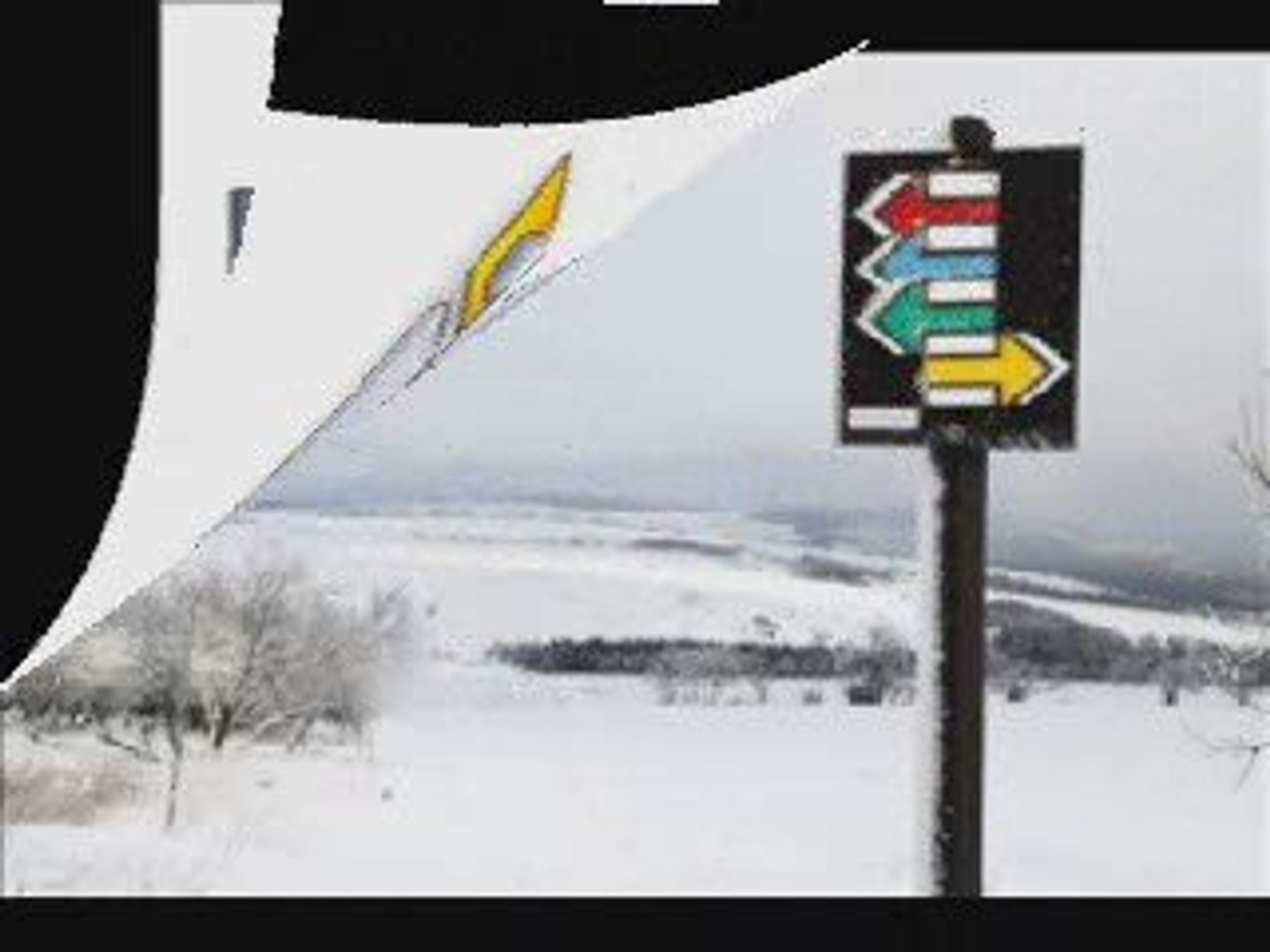 ⁣Ideas To Earn Extra Money Online