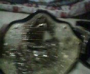 comparing commemorative,jakks and adult replica belts