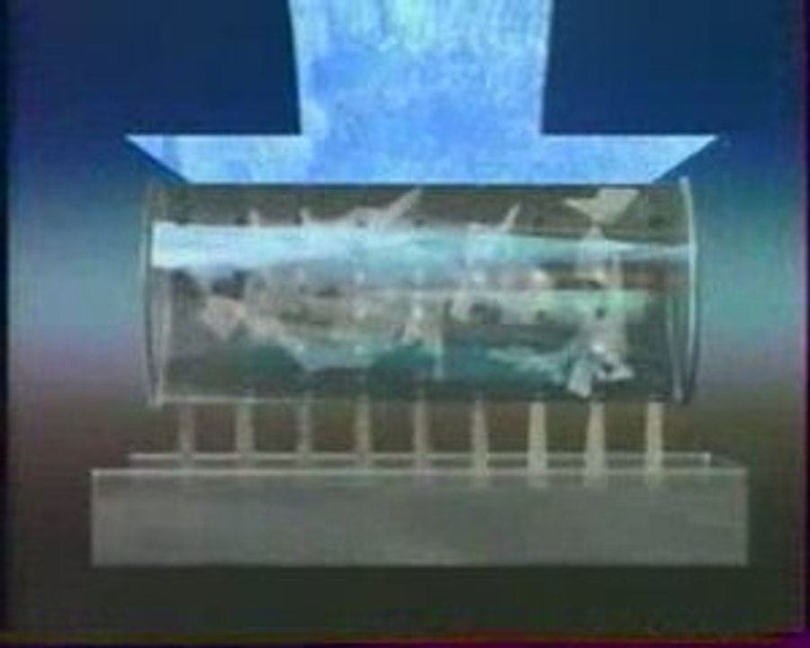 Recyclage des briques de liquides alimentaires - 7min