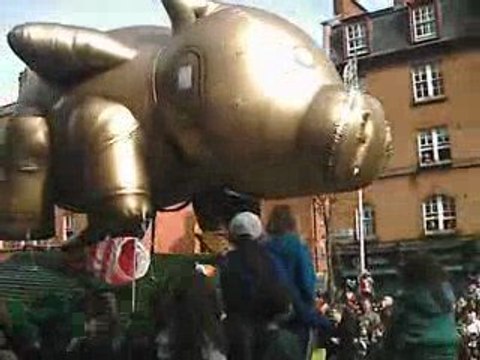 ST PATRICKS PRIDE THE WAR PIG