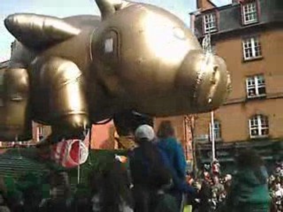 ST PATRICKS PRIDE THE WAR PIG