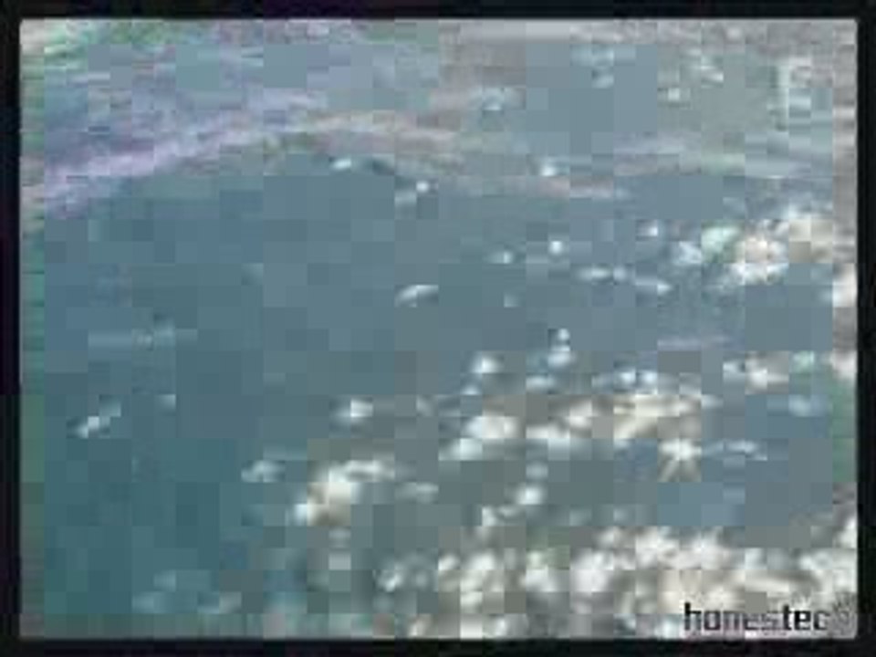 French connexion Part 2