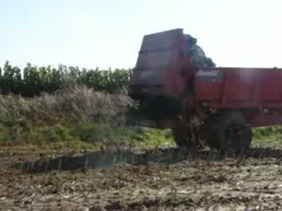 épandage de fumier  2009