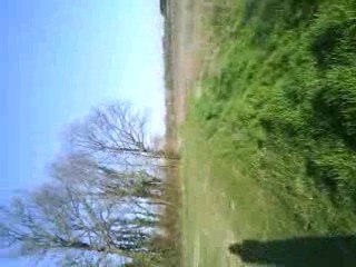 dirt  50 prepa quad 80