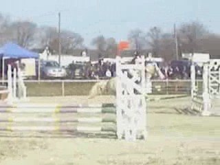 CSO Grand Champ 03/2009