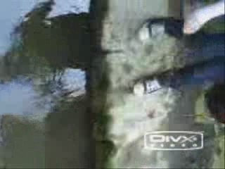 Nos belles aventures