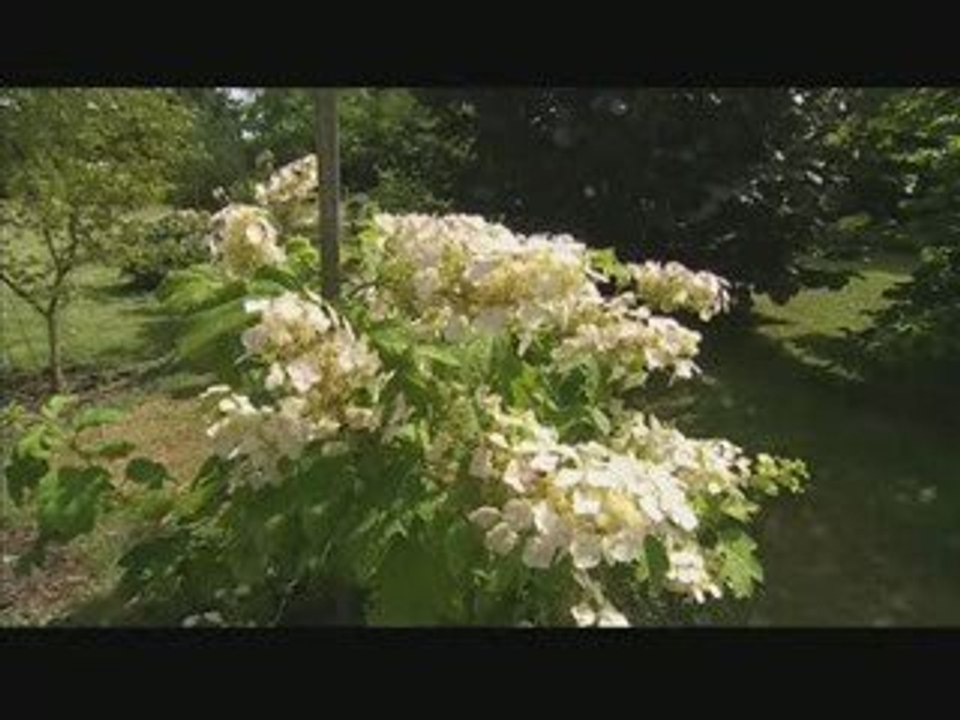 le jardin de la Mardelle