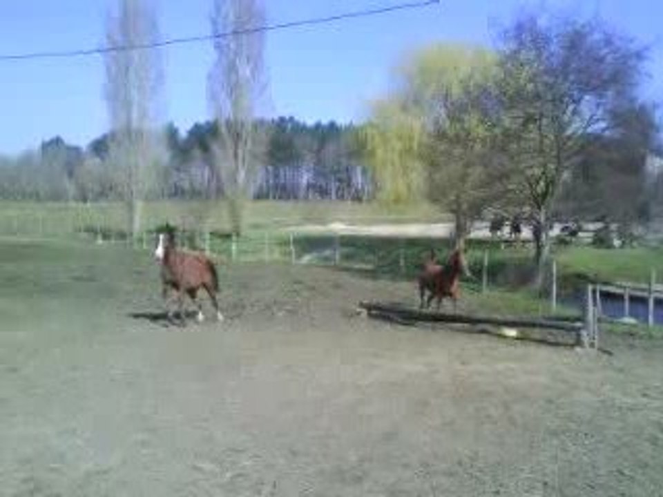 Quadjar et Qualinaro