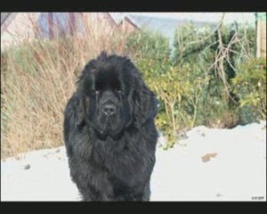 Un après midi dans la Neige