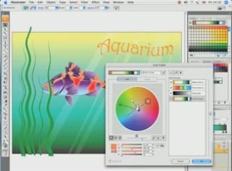 Adobe Illustrator CS4 Tutorial Video - Live Color