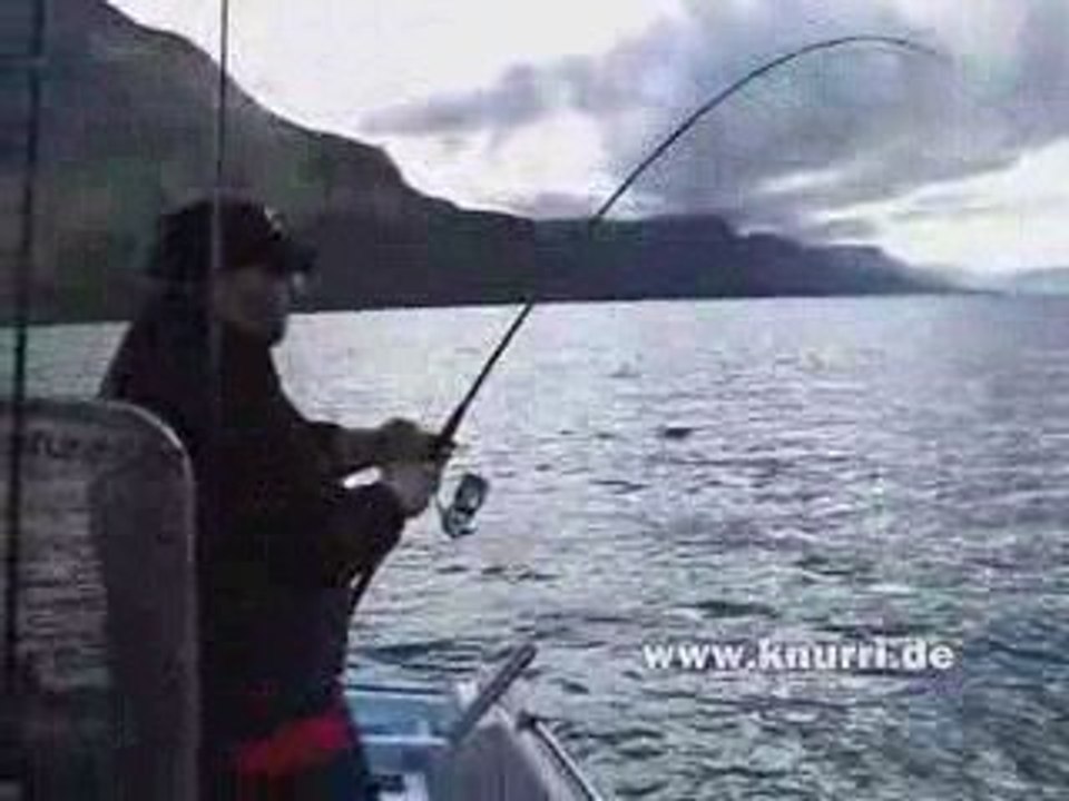 Angeln Norwegen: 18kg Seelachs in Andorja - 2/2