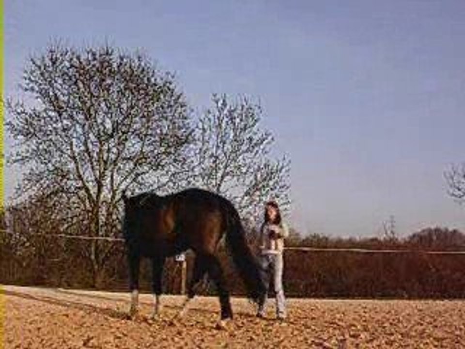 Etho Sussu séance 5 et 6. 17 et 18 mars 2009