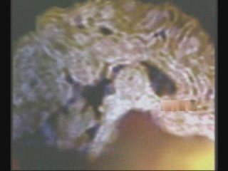 Niños de hoy-inteligencia