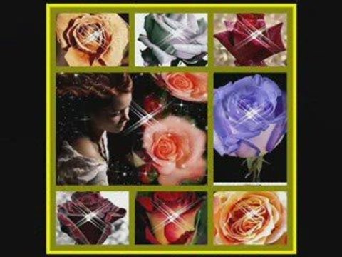 Nie zostało nic......