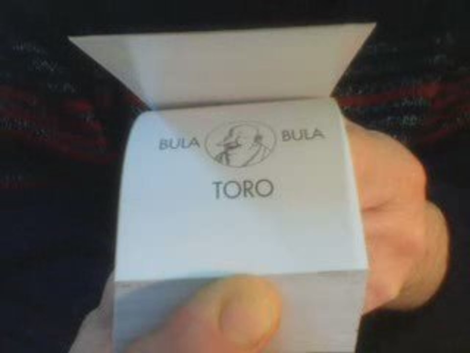 Flip Book : TAUREAU