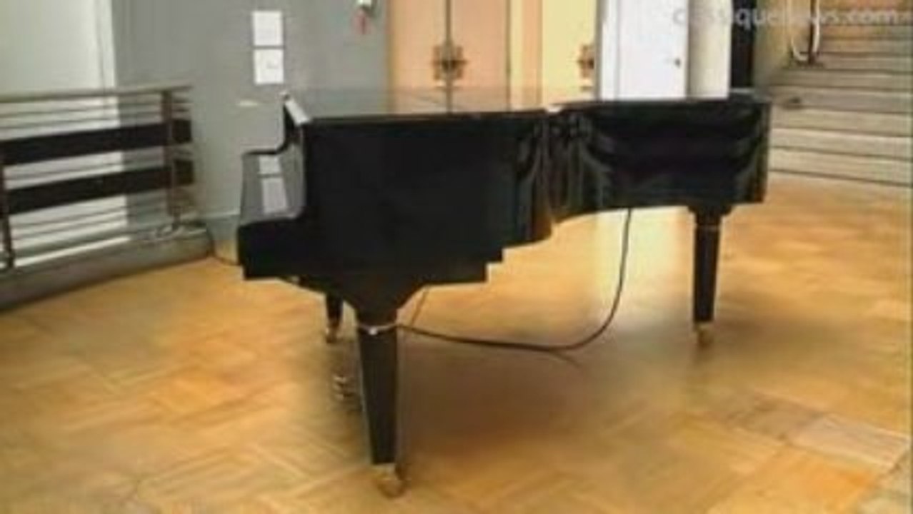 Index, installation avec les Piano Pleyel 2