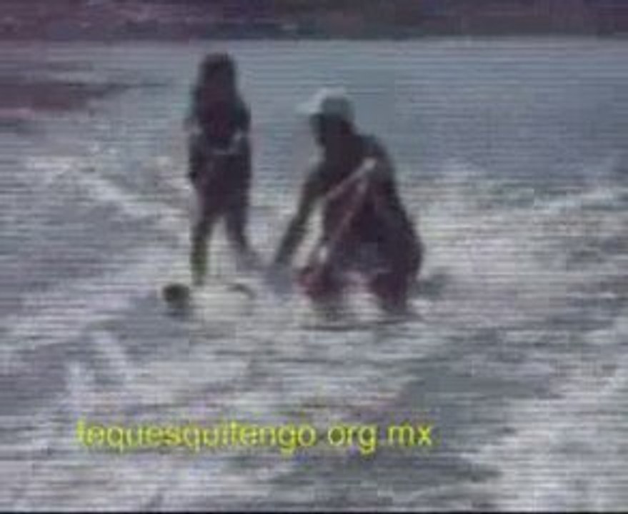 Clases de Esquí Gratuitas TX Hotel Tequesquitengo