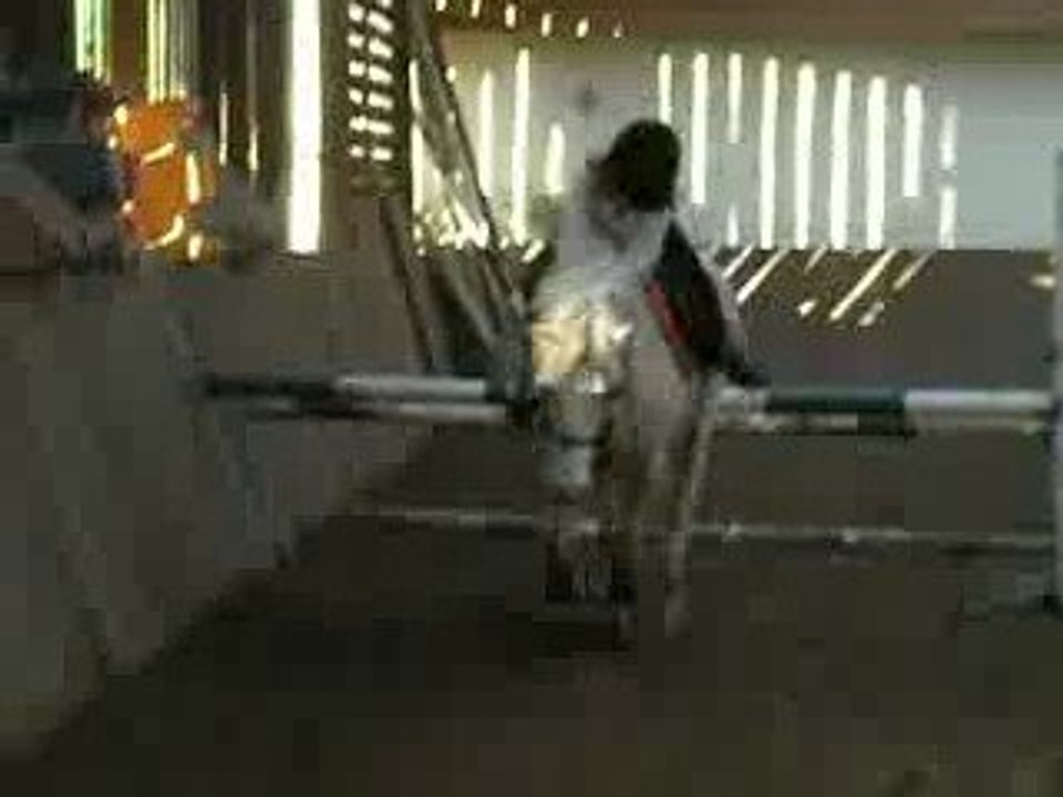 lolo qui saut avec mon ane lol