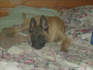 Un soir le 16 mars 2009 Cannelle et Ptilou