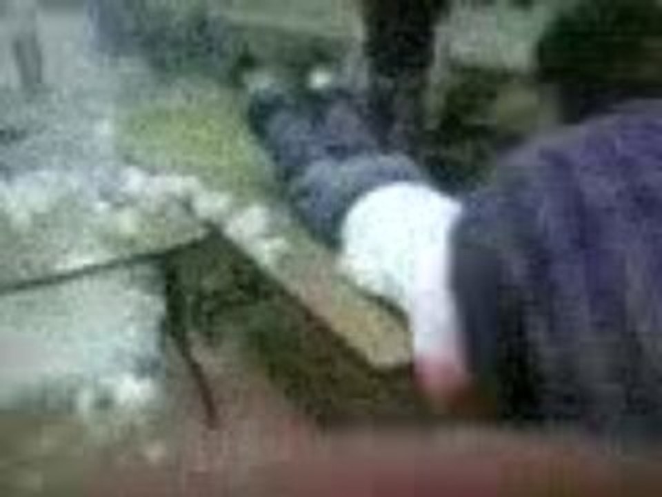 Bal du foot ventraglisseurs 2