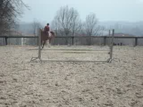 Moi ,toi ,il , elle , nous , vous , ils , elles , eux 044