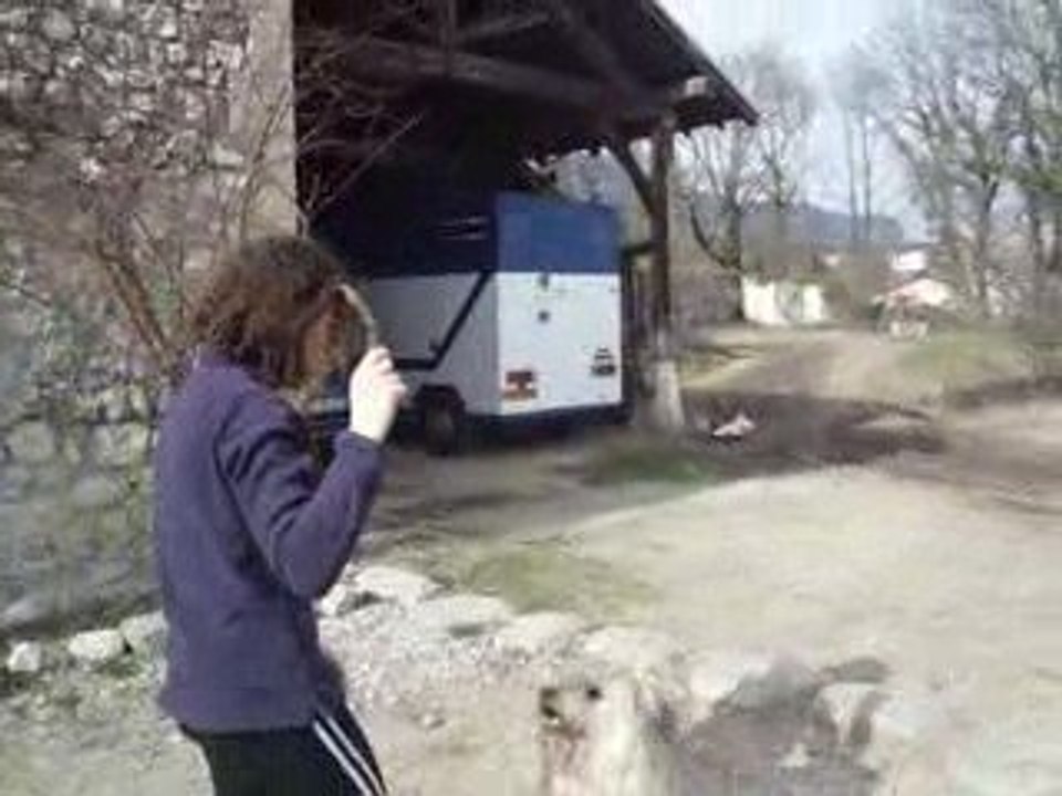 Moi ,toi ,il , elle , nous , vous , ils , elles , eux 025