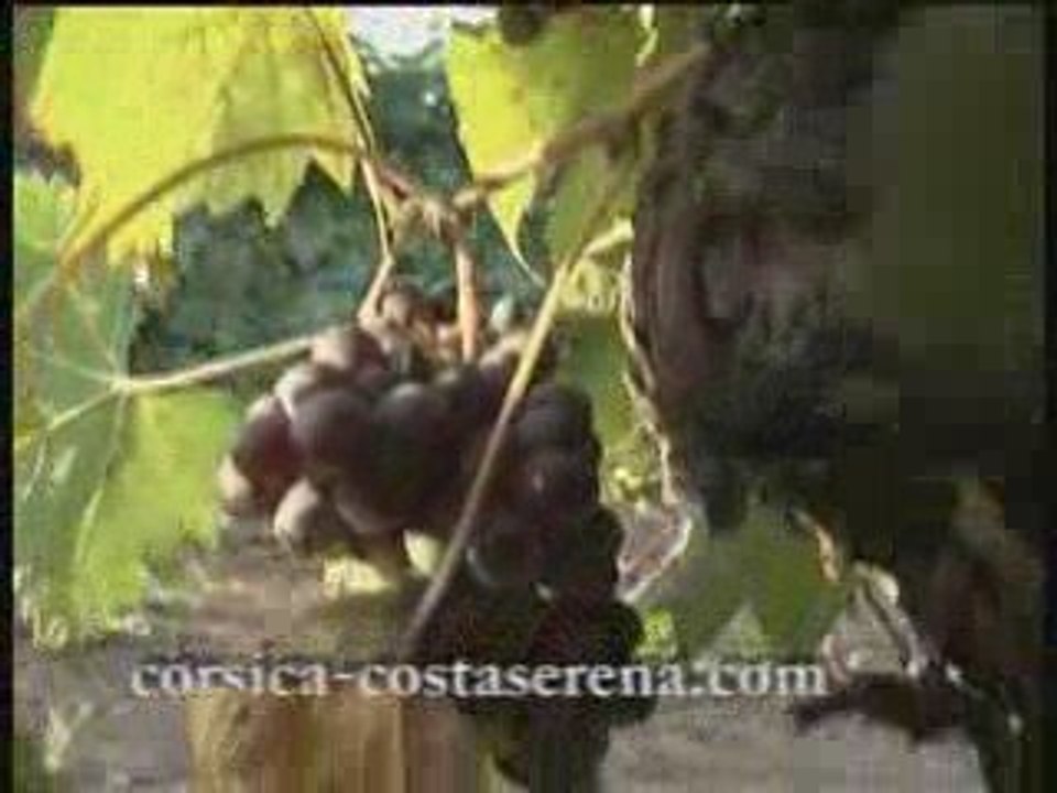 La costa serena en Corse!