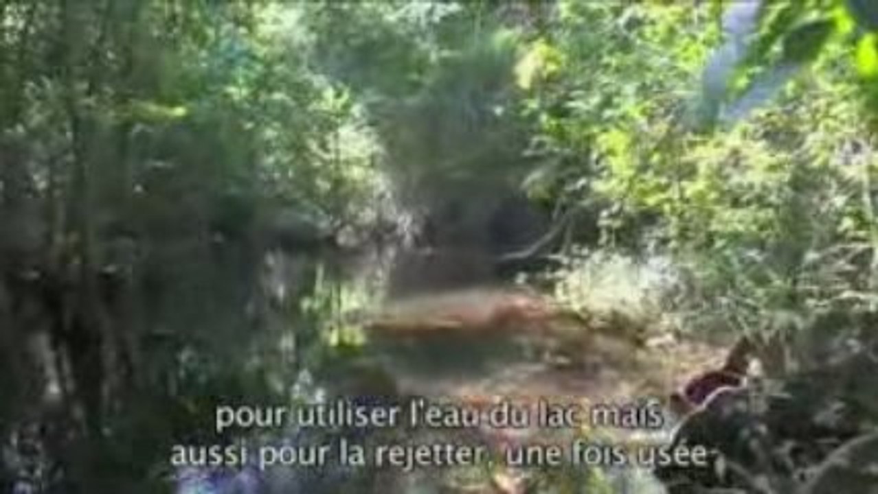 Guatemala : Multinationales et respect de l'environnament