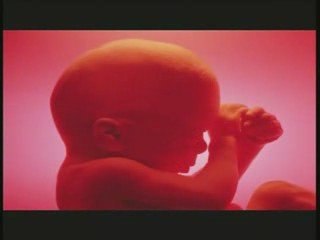 Louis Giglio: How Great is our God Part 3