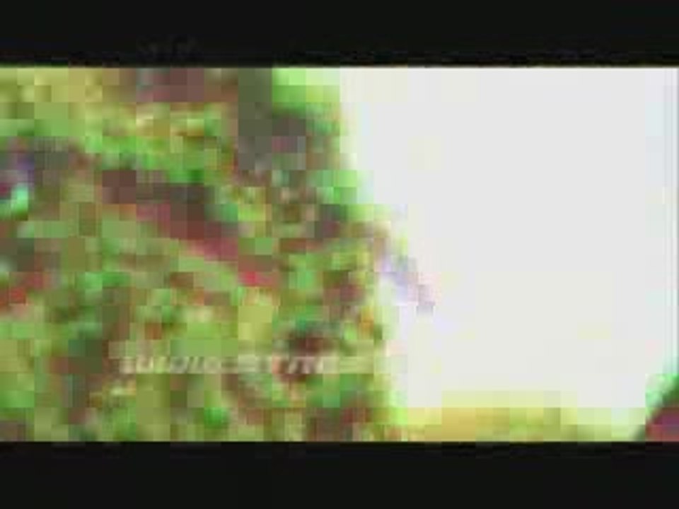 cross_bitume_93_course_poursuite.paris