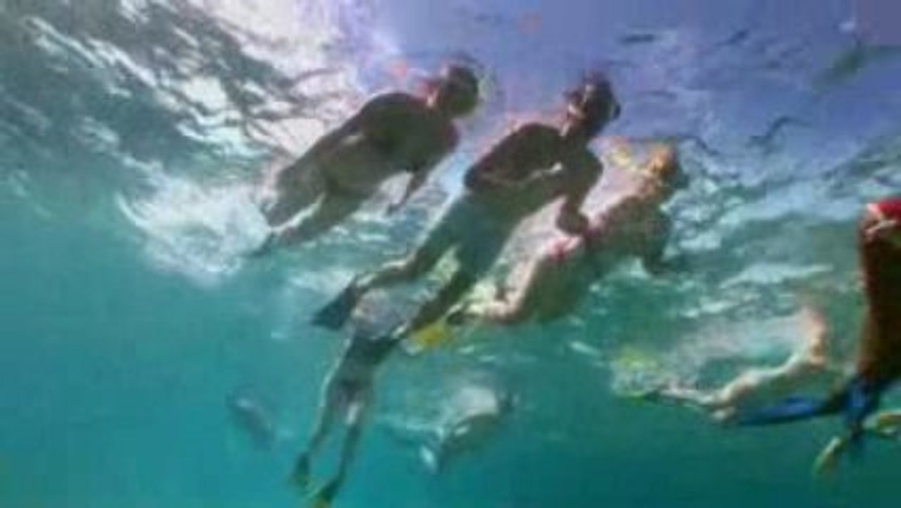 Be One With Belize Part 2 - The Sea of Belize