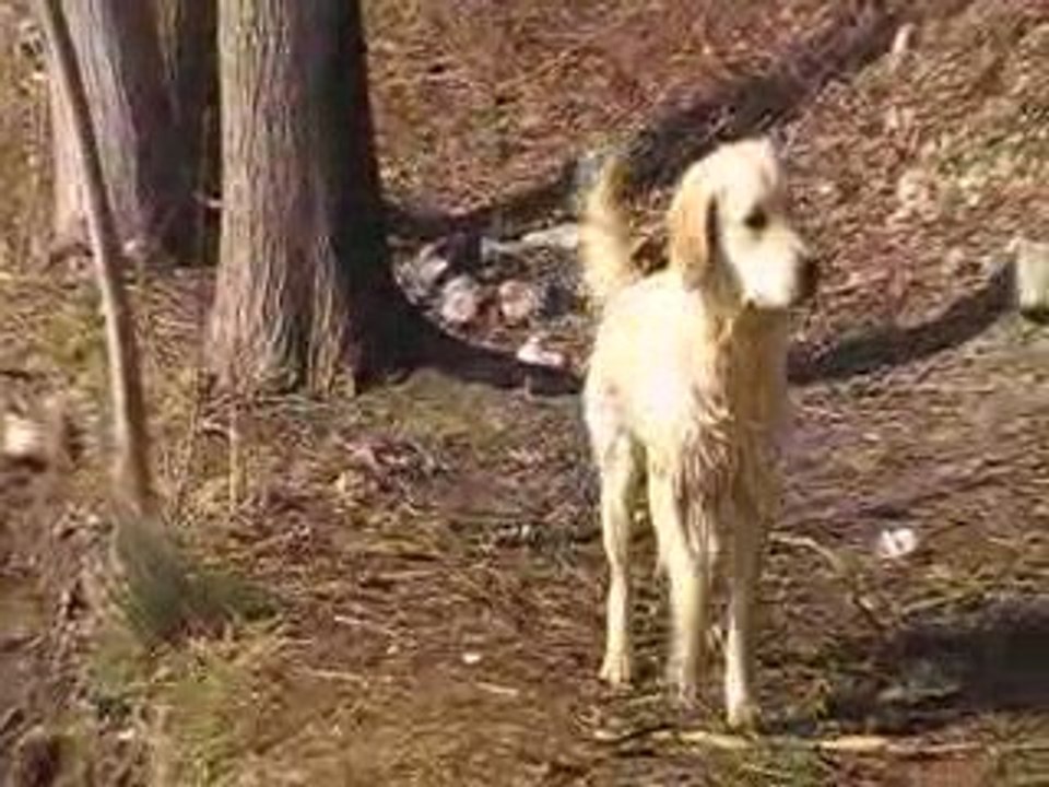 2009_03_19 Daïka eau 1