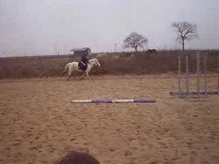 Mwa et Galaxie contre Flavie et Danube